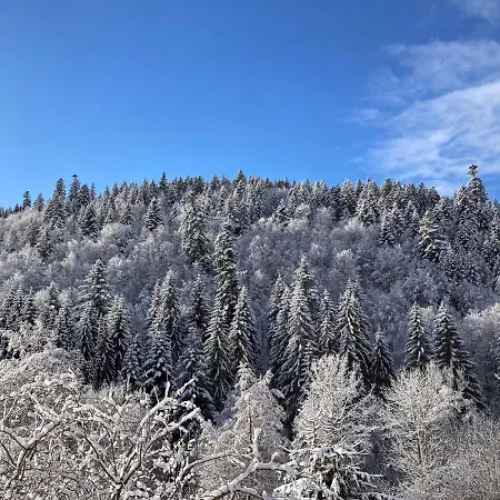 Daire Tannenhoeh Todtmoos