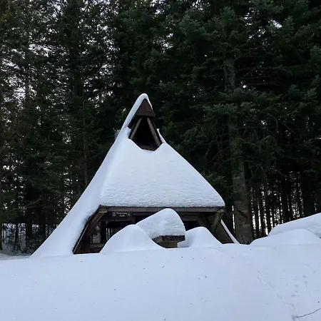 Tannenhöh Apartment Todtmoos