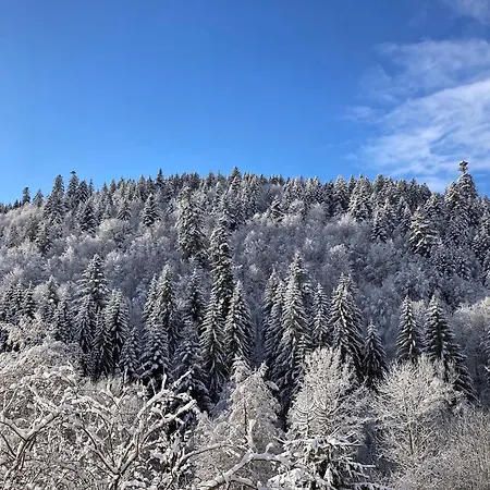 Tannenhöh * Todtmoos